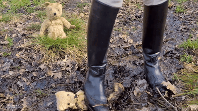 137798 - Beloved old teddys crushed into the mud
