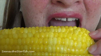66164 - Close Up Corn Dine And Dump