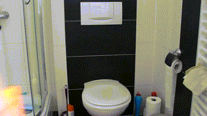 51351 - The sound of the toilet! I love to complain !!