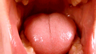 124051 - Inside Giantess Daisy's Mouth