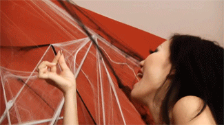 2378 - Jades Spider Web