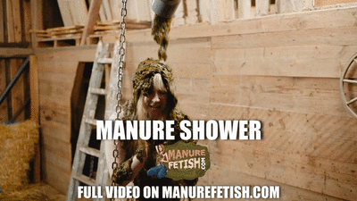 153678 - Manure Shower