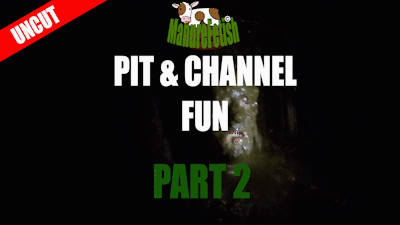 79747 - Pit & Channel Fun - Part 2