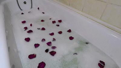 113001 - Romantic Roses Shit