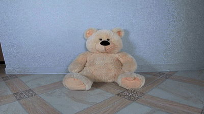 130239 - Shitty Teddy Bear