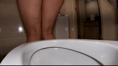 151680 - Toilet View Shitting