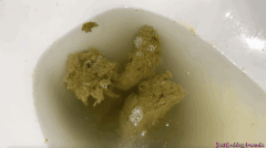 176825 - Dirty Toilet Bowls