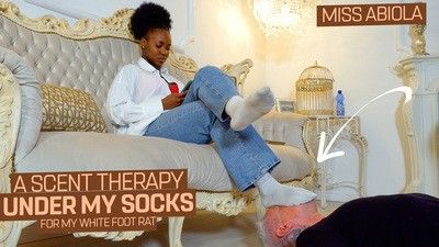 185342 - My special scent therapy under my socks for my white foot rat