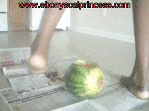 6353 - Shit in a Melon ~ Your healthy  Fruit Snack
