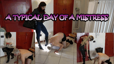144803 - Lady Scarlet - A typical day of a Mistress
