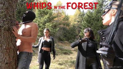 162465 - LADY SCARLET - WHIPS IN THE FOREST