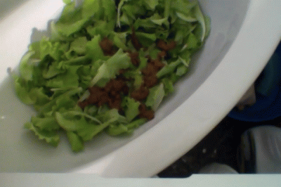138528 - Melissa - Shit Salad