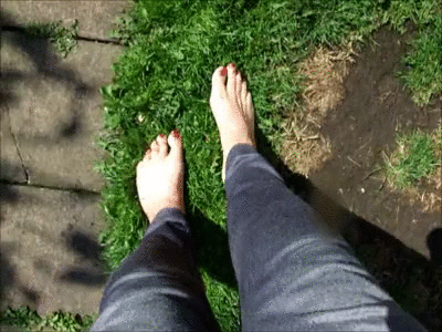 146611 - Summer Feet Lush Green Grass