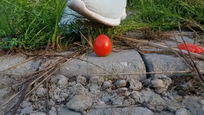 160731 - Crush on Tomatoes