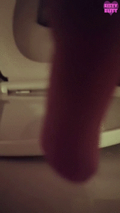 165316 - Seductively dirtying the toilet seat with a huge pile of stinky shit