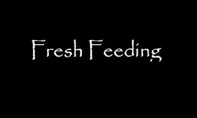 11915 - Fresh Feeding