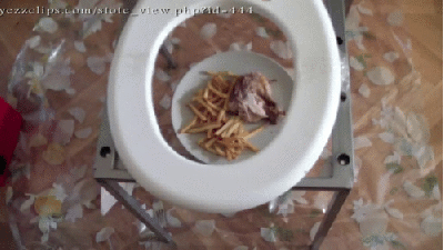 21408 - Your lunch is our toilet