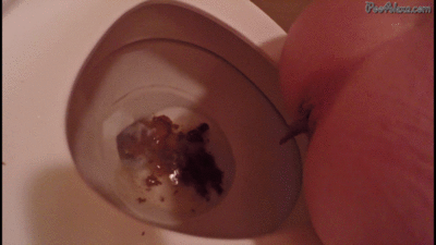 34856 - Diarrhea In The Toilet