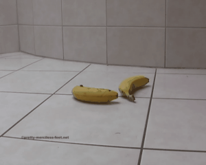 1526 - Two Bananas - Two Feet
