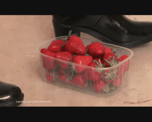 32777 - Catch the Strawberries