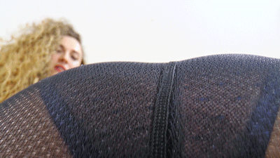 155885 - Two nylon asses take your breath away - small version