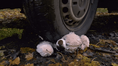205609 - Your beloved teddy is destroyed under my muddy tires (small version)