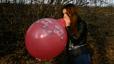 105962 - Red balloon has no chance