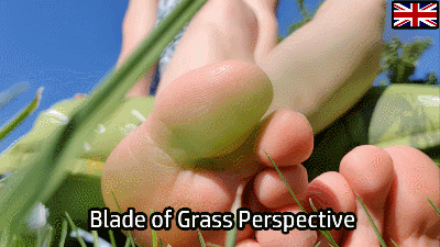 166211 - Blade of Grass Perspective