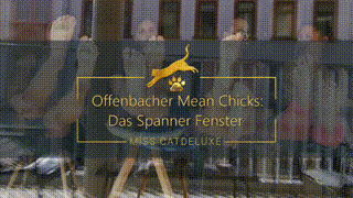178568 - Offenbacher Mean Chicks: Das Spanner Fenster