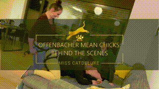 179224 - OFFENBACHER MEAN CHICKS: BEHIND THE SCENES