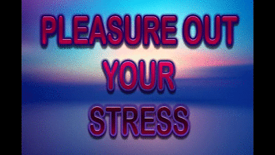166246 - PLEASURE OUT YOUR STRESS