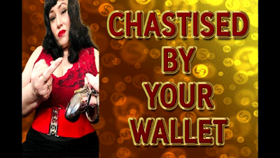 169700 - CHASTISED BY YOUR WALLET