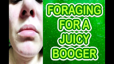 182355 - FORAGING FOR A JUICY BOOGER