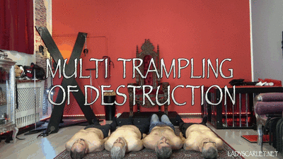 171302 - Lady Scarlet - Multi trampling of destruction