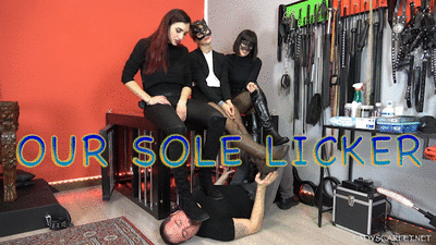 181048 - Lady Scarlet - Our sole licker