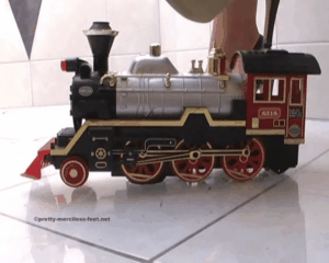 20860 - Traincrush