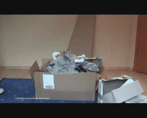 53499 - Cardboard box under Sneakers