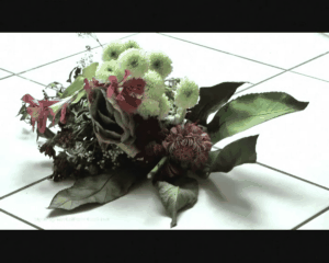 55338 - Bouquet under Dancing Heels