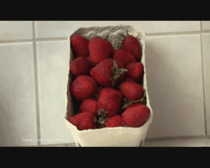 62541 - Strawberries in Flip Flops