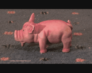 65494 - Small Pig under High Heels