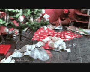 68676 - Cleaning after X-Mas Party