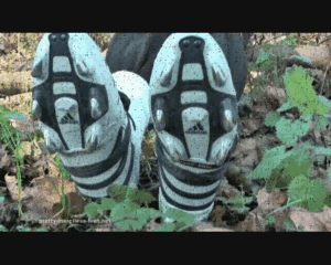 72581 - Soccer shoes in the Forest