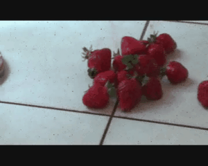76790 - Strawberrys in and under Flip Flops
