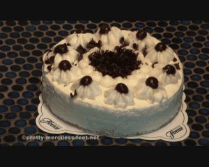 79327 - Delicious cream cake under Rubber Boots