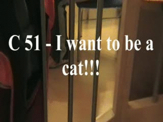 24633 - C 51 I want to be a cat