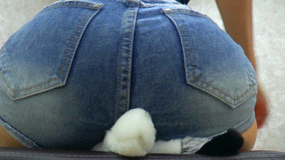 104291 - Husky crushing in short jeans