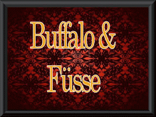 49639 - Buffalo & feet
