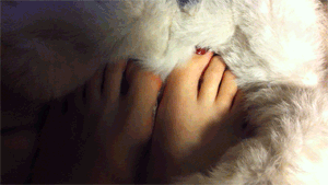 38825 - Fur and Toes 1