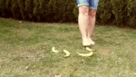 Sneakergirly Akira - Smash some Bananas